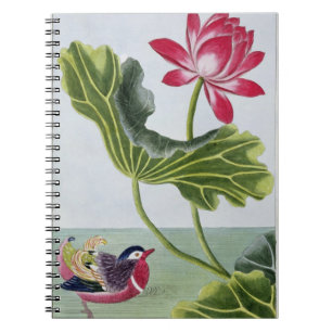 Cuaderno Lirio de agua roja chino, volumen I, placa 82, de