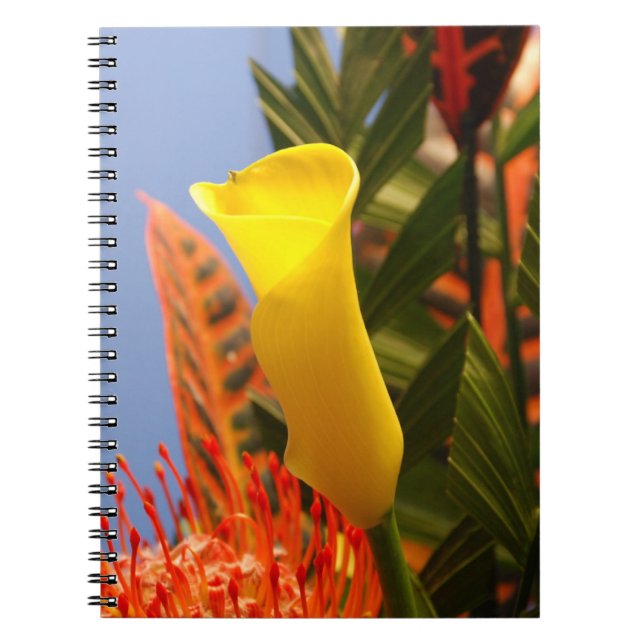 Cuaderno lirio de calla amarillo mini (Frente)