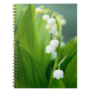 Cuaderno Lirio de los valles