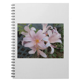 Cuaderno Lirio de Resurrección