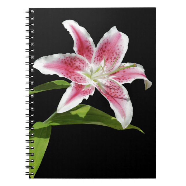 Cuaderno Lirio del Stargazer (Frente)