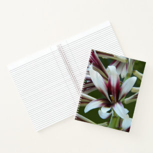 Cuaderno Lirio floral gigante del Himalaya