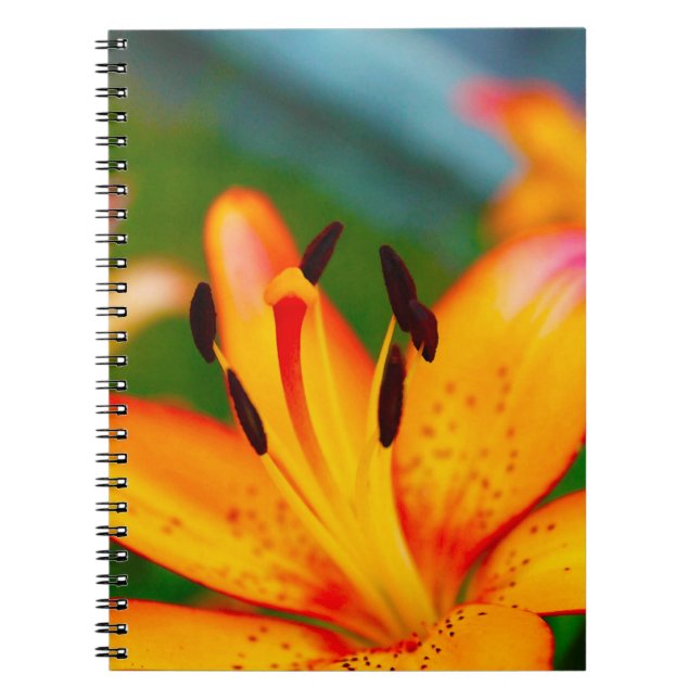 Cuaderno Lirio II (Frente)