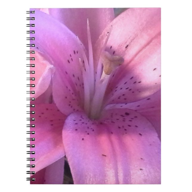 Cuaderno Lirio Rosa (Frente)