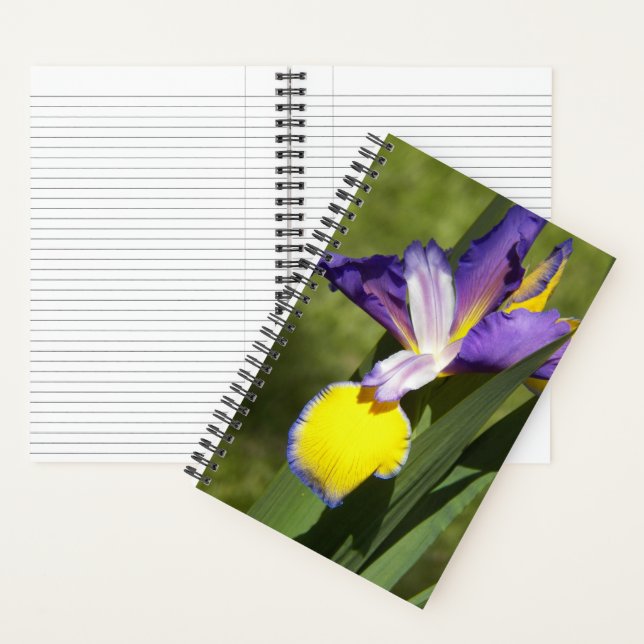 Cuaderno Lirio Siberiano floral morado y amarillo (Interior)