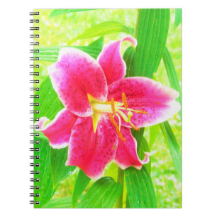 Cuaderno Lirio Stargazer Rosa Profundo Bonito sobre Verde L