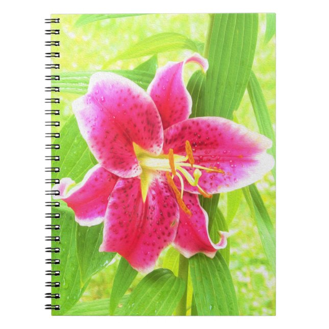 Cuaderno Lirio Stargazer Rosa Profundo Bonito sobre Verde L (Frente)