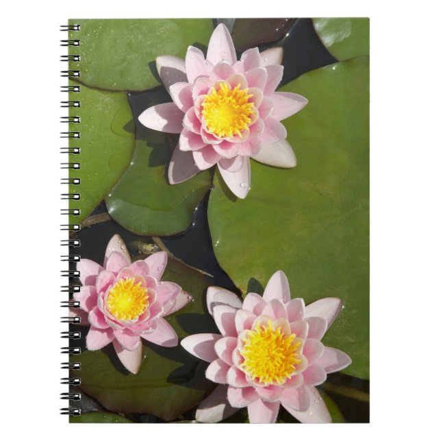Cuaderno Lirios de agua (Frente)
