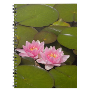 Cuaderno Lirios de agua en flor