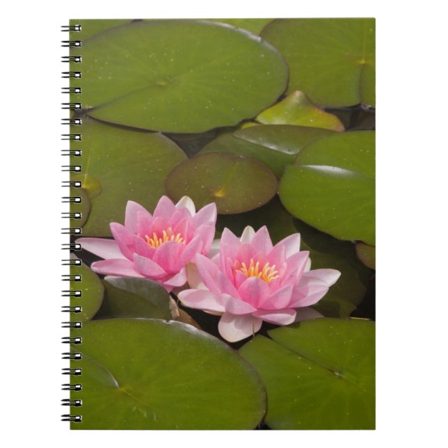 Cuaderno Lirios de agua en flor (Frente)