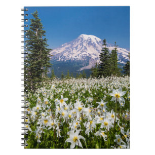 Cuaderno Lirios de avalancha y Monte Rainier 2