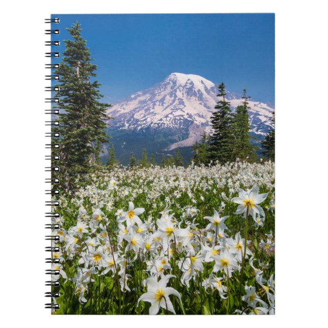 Cuaderno Lirios de avalancha y Monte Rainier 2 (Frente)