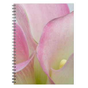 Cuaderno Lirios de Calla Rosados