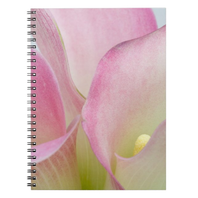Cuaderno Lirios de Calla Rosados (Frente)