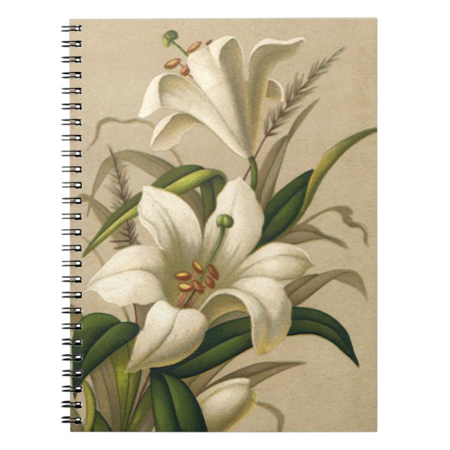 Cuaderno Lirios de Pascua antiguos, flores victorianas en f (Frente)