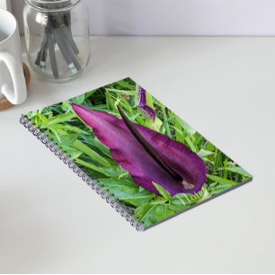 Cuaderno Lirios Florales Dragón Púrpura en Flor