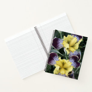 Cuaderno Lirios sin barba púrpura y amarillo Floral