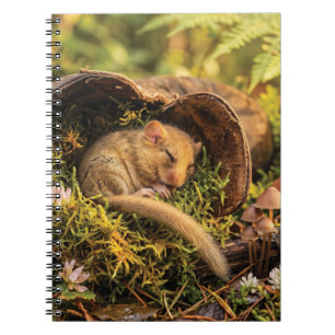 Cuaderno Lirón Carey Lindo Durmiendo Dentro de una Bota de