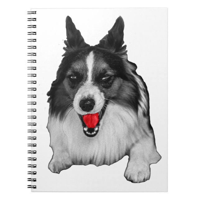 Cuaderno Listas al lado de la alegría roja (Frente)