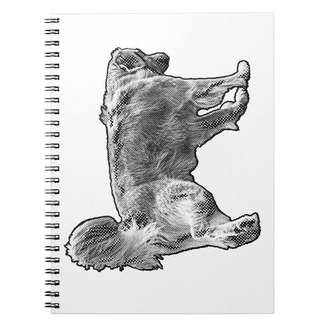 Cuaderno Listas de oro de diciembre (Frente)