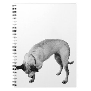 Cuaderno Listas Secretas Terrier
