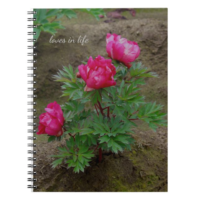 Cuaderno Little Peony Bush (Frente)