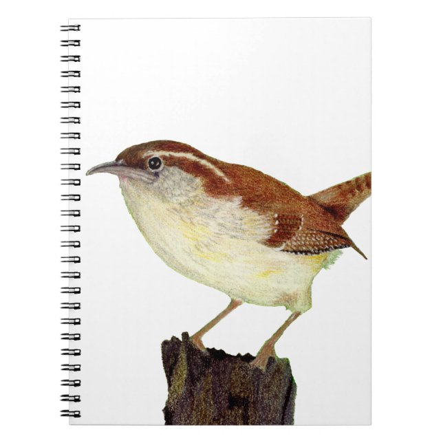 Cuaderno Little Wren (Frente)