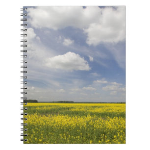Cuaderno Lituania, Lituania central, Joniskis, campo de