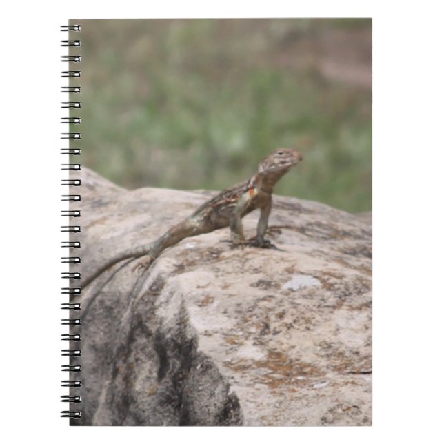 Cuaderno Lizard (Frente)