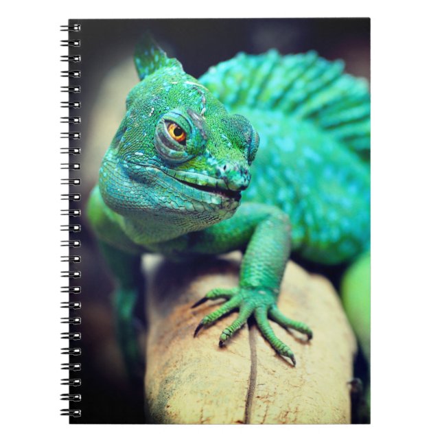 Cuaderno Lizard (Frente)