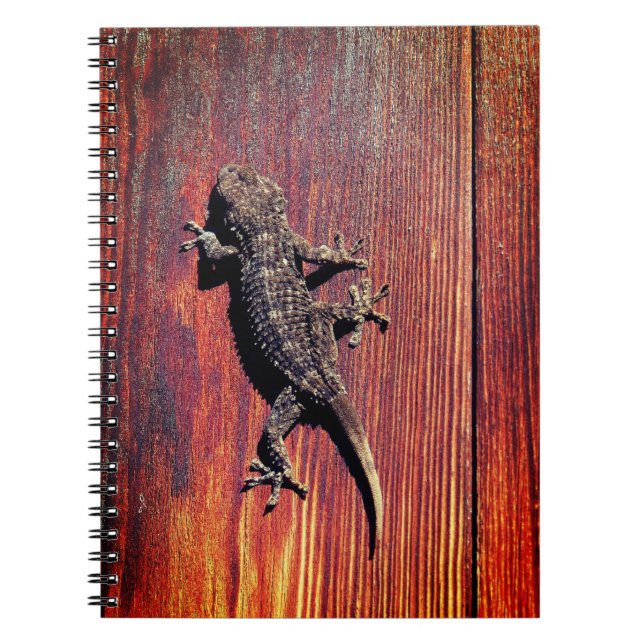 Cuaderno Lizard (Frente)