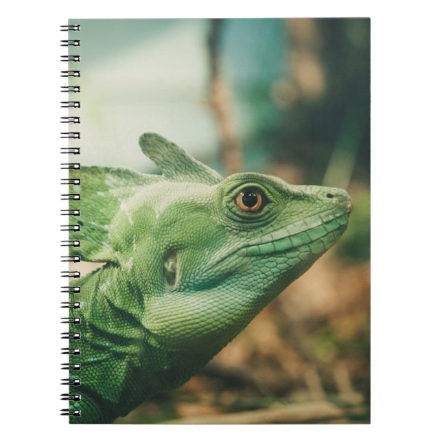 Cuaderno Lizard watch visual de cerca (Frente)