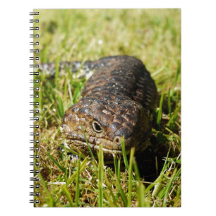 Cuaderno Lizarras De Tonga Azul Arrojando En La Hierba,