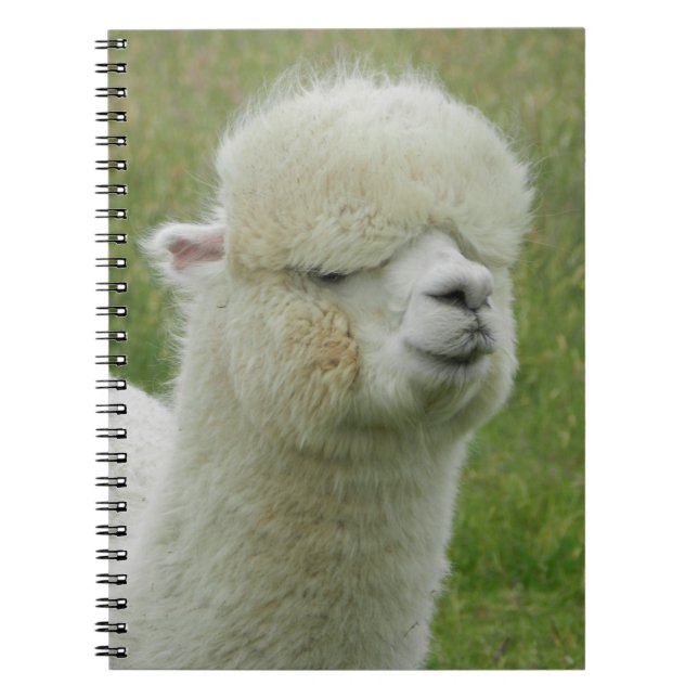 Cuaderno Llama (Frente)