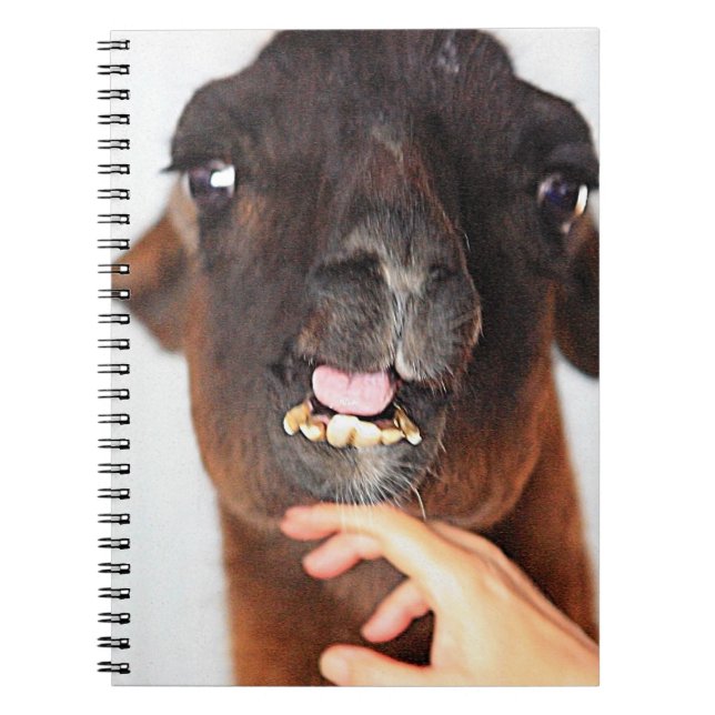 Cuaderno Llama (Frente)