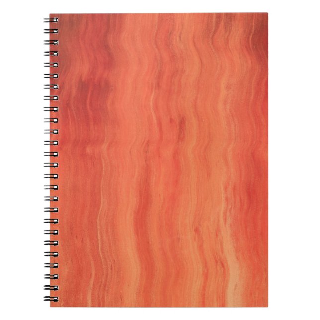 Cuaderno Llama (Frente)