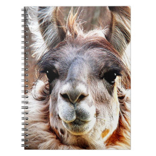 Cuaderno Llama