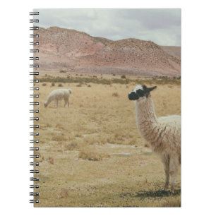 CUADERNO LLAMA BLANCA EN GRASA MARRONA