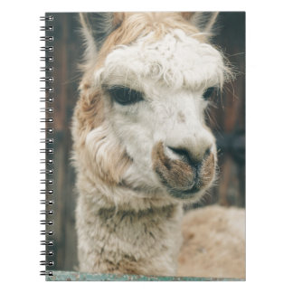 Cuaderno Llama Cerrar