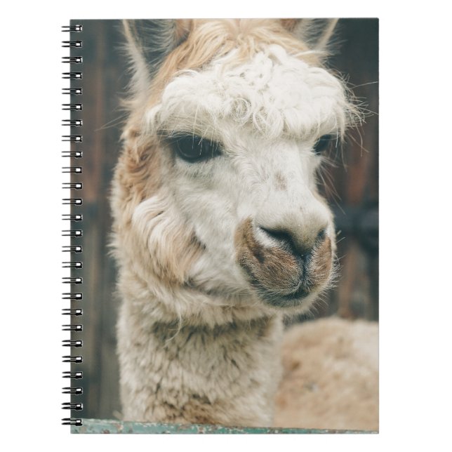 Cuaderno Llama Cerrar (Frente)