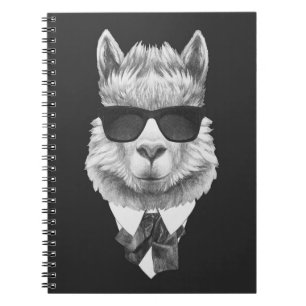 Cuaderno Llama con clase