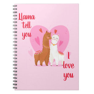 Cuaderno Llama Dígante 