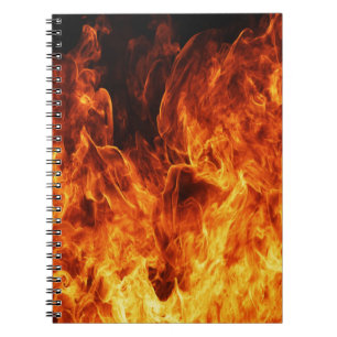 Cuaderno Llama naranja
