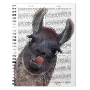 Cuaderno Llama tonta
