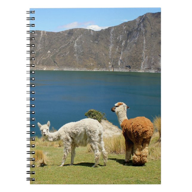 Cuaderno Llamas (Frente)