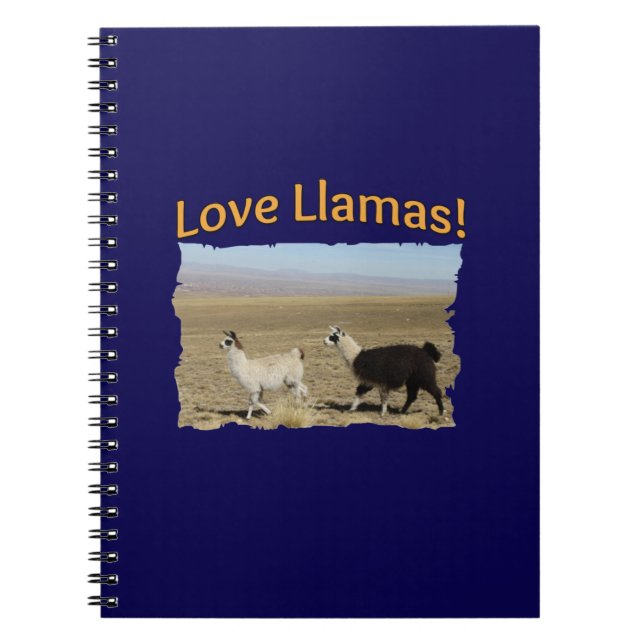 Cuaderno Llamas de amor - Los mejores amigos (Frente)