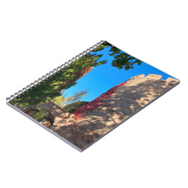 Cuaderno Llegando al Castillo