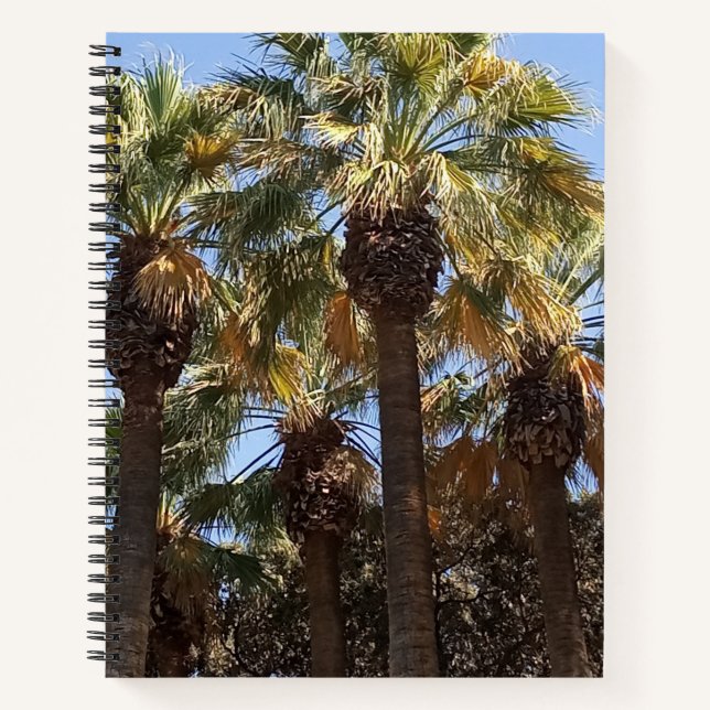 Cuaderno Llenado de bloc de notas espiral (Anverso)