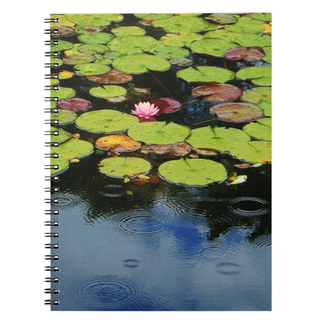 Cuaderno Lloto rosa en lluvia (Frente)