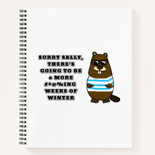 Cuaderno Lo siento Sally, 6 más #*@%ing semanas de invierno